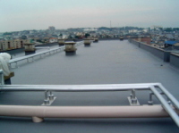 �h���V�[�g�Q