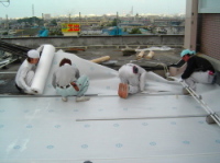 �h���V�[�g�P