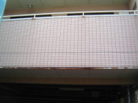 �H���O�@����