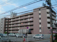 �H���O�@���