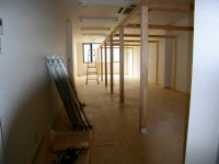 �J�[�e���t���[��