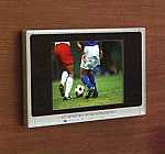 ���j�b�g�o�X�p�����e���r�@���t�H�[���E���