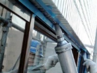 �����V�[���ł�