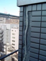 �q�r�V�[���[�U