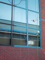 ���̑��V�[��