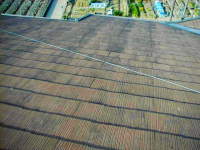 �{�H�O����