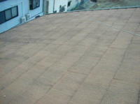 �{�H�O����