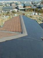 �����h���{�H��