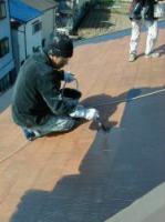 �����h���{�H��