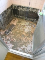 ������̌�