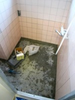 �����^�C���{�H