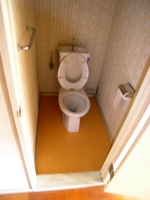 �{�H�O�̃g�C��