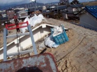 ��������P����