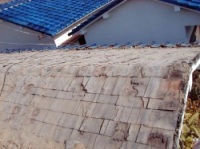 �����̂Ƃ�Ƃ�