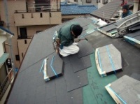 �J���[�x�X�g�{�̓\